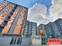 SUN CITY 公寓出租