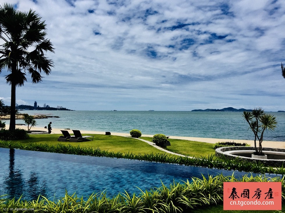 The Palm 泰国芭堤雅棕榈湾私人沙滩公寓| 泰国房产网