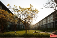 泰国清迈大学公寓：dcondo Campus Resort