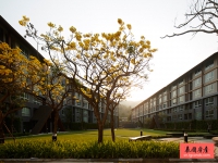 泰国清迈房产：清迈大学1房公寓 dcondo Campus Resort