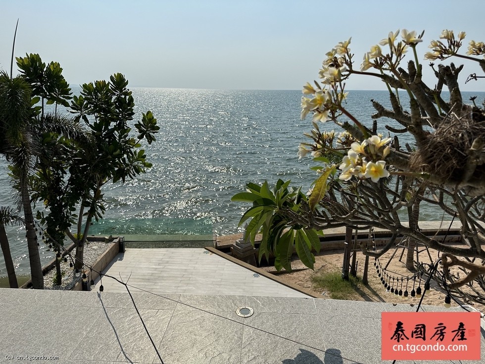 泰国芭堤雅滨海一线海景泳池别墅出售，占地1200平米带私人沙滩