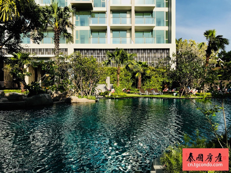 The Riviera Wongamat里维拉那歌高层正海景公寓35平1房新房转售