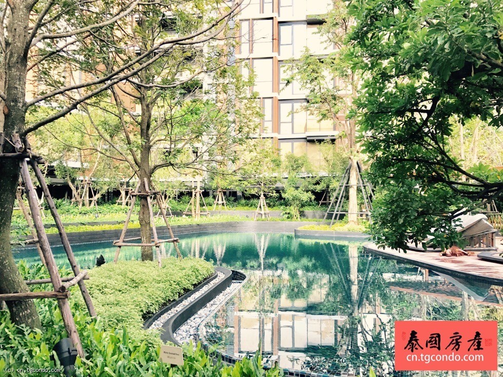 Mori Haus 泰国曼谷两房园林临河公寓
